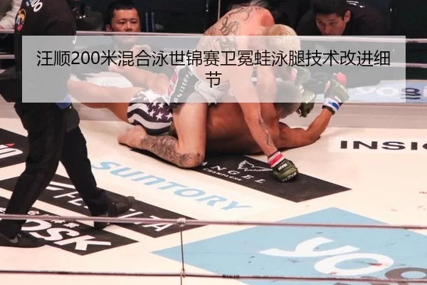 wang-shun-mi-hun-he-yong-shi-jin-sai-wei-mian-wa-yong-tui-ji-shu-gai-jin-xi-jie-3-983.jpg